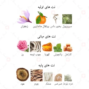 نت‌های بویایی ادکلن سامر عود احمد المغربی