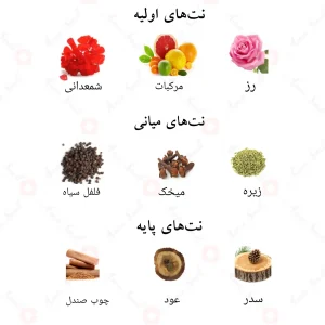 ترکیب رایحههای ادکلن سفایر