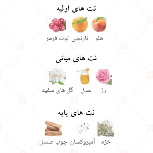 نت‌های بویایی ادکلن عود کوتور احمد المغربی