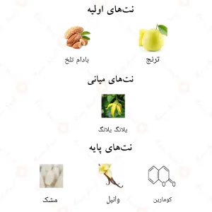 ترکیبات و نت‌های بویایی ادکلن لش نویر