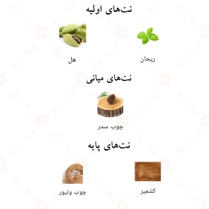 نتهای بویایی ادکلن نواطق احمد المغربی