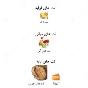 نت‌های بویایی ادکلن کاملیا گاردن احمد المغربی
