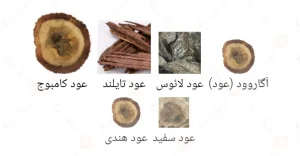نت‌های بویایی ادکلن کلاسیک احمد المغربی