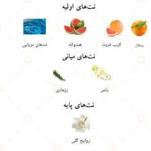 نت‌های بویایی ادکلن فروست آیس احمد المغربی