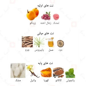رایحه‌های مشک اند لدر
