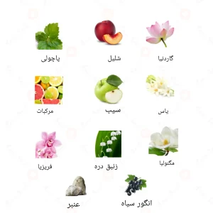 رایحه ادکلن مونلایت احمد المغربی