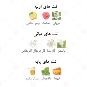 نت‌های بویایی ادکلن میلیور احمد المغربی