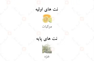رایحه‌های وایت تایگر