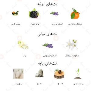 _پیور_واندر_احمد_المغربی_Pure_Wonder_Ahmed_Al_Maghribi