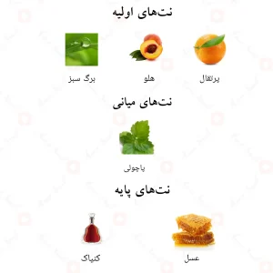 نت‌های بویایی ادکلن پیچی پیج