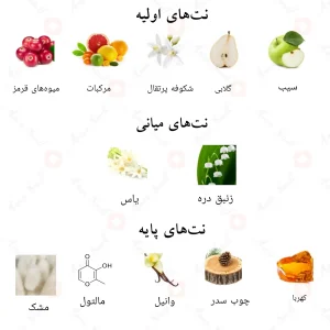 رایحه ادکلن پرل احمد المغربی