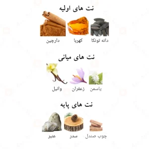 Afnan Amberythme افنان امبری تیم