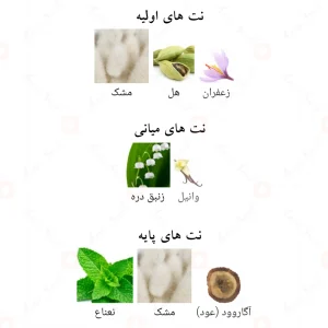 Afnan Musctique افنان ماسکتیک