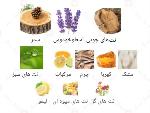 Afnan Omniyah Silver 2 افنان امنیاه سیلور