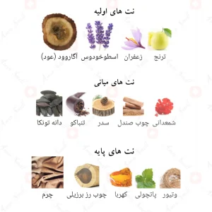 Afnan Ouddiction افنان عودیکشن