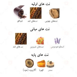 Afnan Tobacco Rush افنان توباکو راش