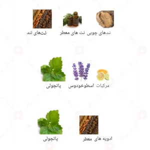Afnan_Patchouli_On_Fire_افنان_پچولی_ان_فایر
