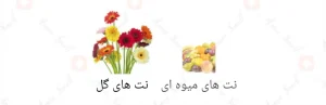 Afnan_Precious_Pink_افنان_پریشس_پرشس_پینک