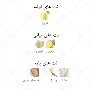 Amber_D'OR_Fragrance_World_ادکلن_امبر_دور_فرگرانس_ورد_