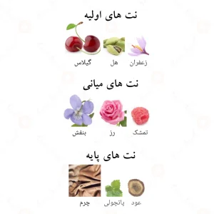 Ambroise_Pour_Femme_ادکلن_امبرویس_پور_فم_فرگرانس_ورد_