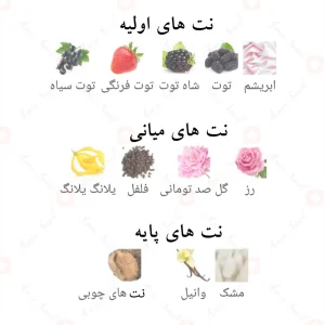 Amytise_Fragrance_World_ادکلن_آمیتیس_فرگرانس_ورد_