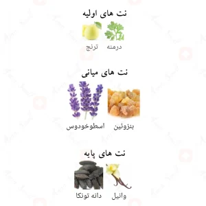 Champion_Money_Fragrance_World_ادکلن_چمپیون_مانی_