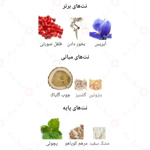 Dark_As_Wood_Fragrance_World_ادکلن_دارک_از_وود