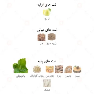 Elysian_Onyx_Fragrance_World_ادکلن_الیسیان_اونیکس