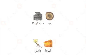 Enigma_Deux_Fragrance_World_ادکلن_انیگما_دیوکس_