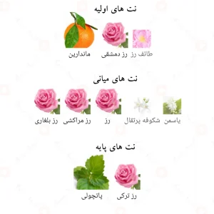 Enigma_Quatre_Fragrance_World_ادکلن_انیگما_کواتر_