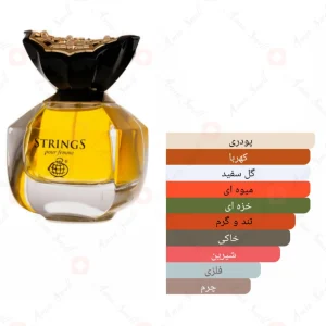 Fragrance_World_String_Fragrance_World_عطر_استرینگ