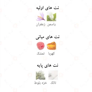 Fragrance_World_String_Fragrance_World_عطر_استرینگ