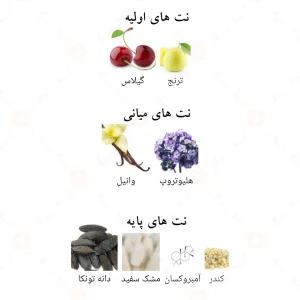 Francique 107.9 Fragrance World ادکلن فرانسیک 5