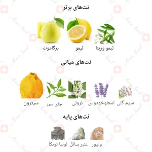 Fresh_As_Citrus_Fragrance_World_ادکلن_فرش_از_کیتروس
