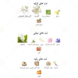 Giovany_Brezza_Fragrance_World_ادکلن_جیوانی_برززا