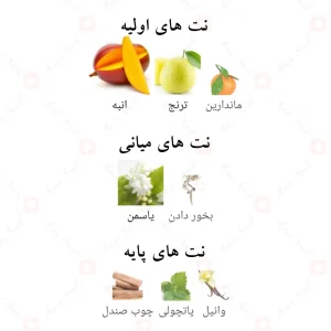 Gold Fame Fragrance World ادکلن گلد فیم