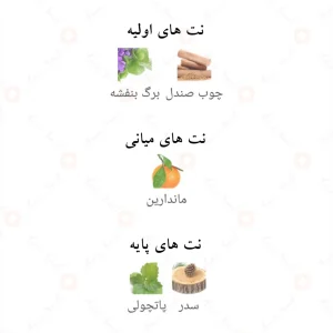 Grandeur Fragrance World ادکلن گرندر