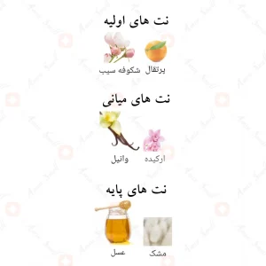 Intense_Addiction_Fragrance_World_ادکلن_اینتنس_ادیکشن