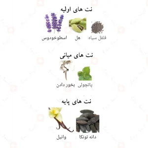 Invicto_Victorious_Elixir_اینویکتو_ویکتوریوس_الکسیر