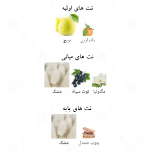 Ivory Musk Fragrance World ادکلن آیوری ماسک