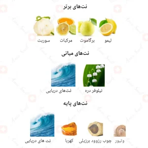 Jour_Fragrance_World_ادکلن_ژور_فرگرانس_ورد_
