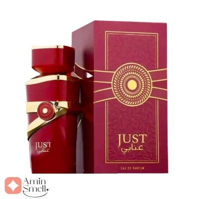 Just Anabi Fragrance World ادکلن جاست عنابی