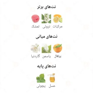 Lady_Friendly_Extreme_لیدی_فرندلی_اکستریم_ادکلن_