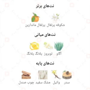 Marjan_Fragrance_World_ادکلن_مرجان_فرگرانس_ورد_