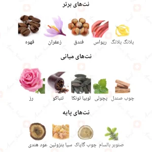Mocha Wood Fragrance World ادکلن موکا وود