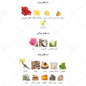 Noir 7 Fragrance World ادکلن نویر هفت