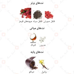 Nudo_Exotic_Flowers_Fragrance_World5نودو_اگزوتیک_فلاورز
