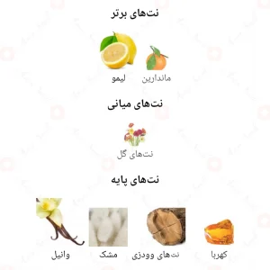 Nudo_Green_Iris_Fragrance_World_ادکلن_نودو_گرین_آیریس