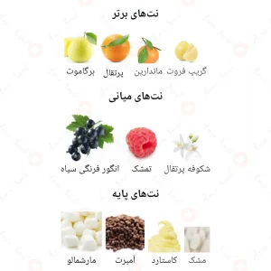 Nudo_Sweet_Berries_Fragrance_World_نودو_سوییت_بریز