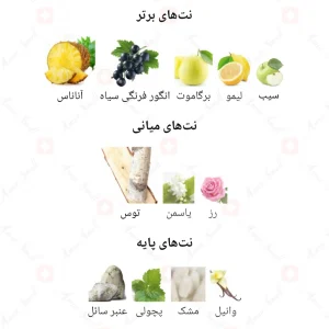 Nuit_Fragrance_World_ادکلن_نویت_فرگرانس_ورد_